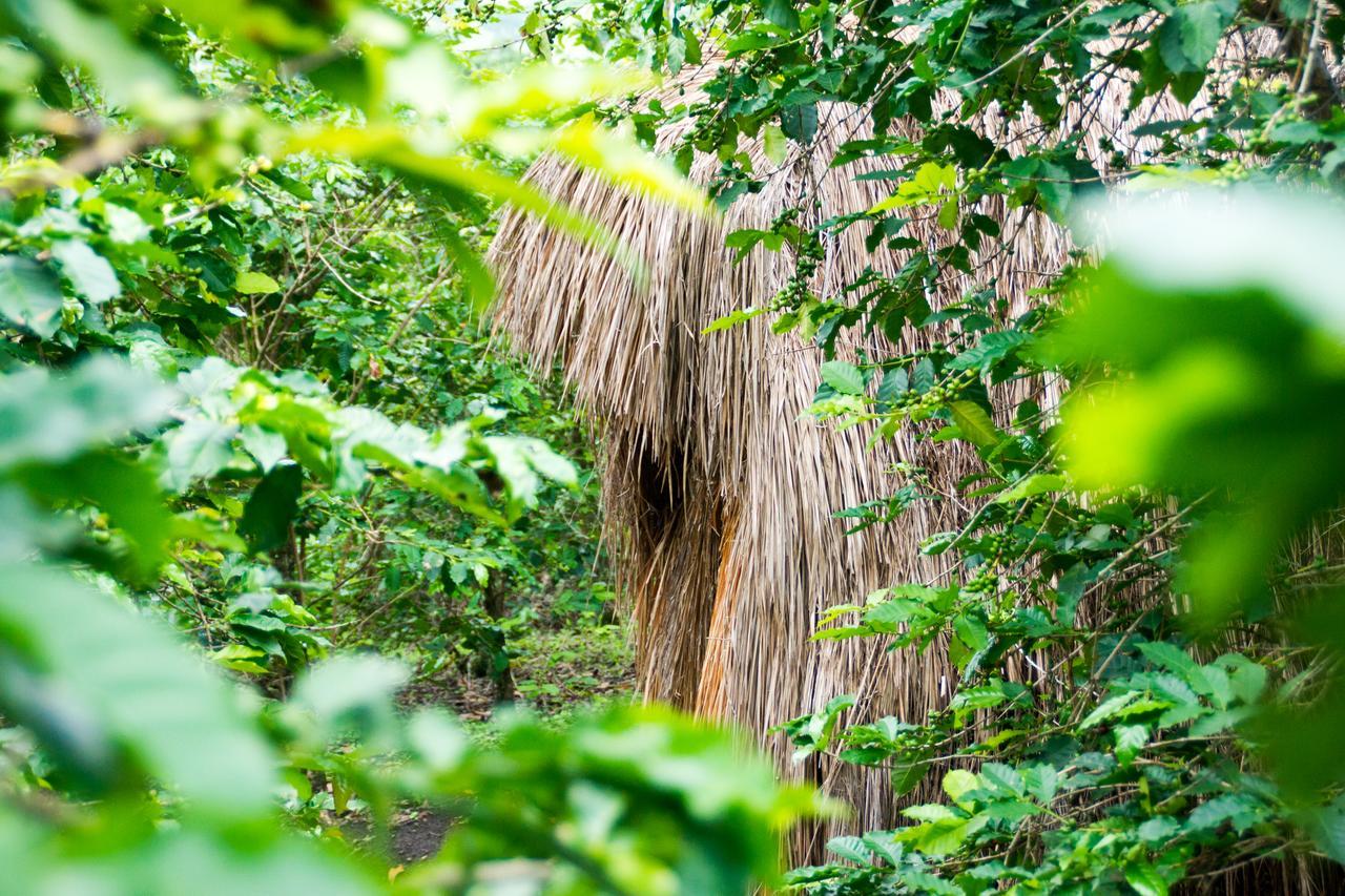 Queen Elizabeth Pvt Lodge Kichwamba Buitenkant foto